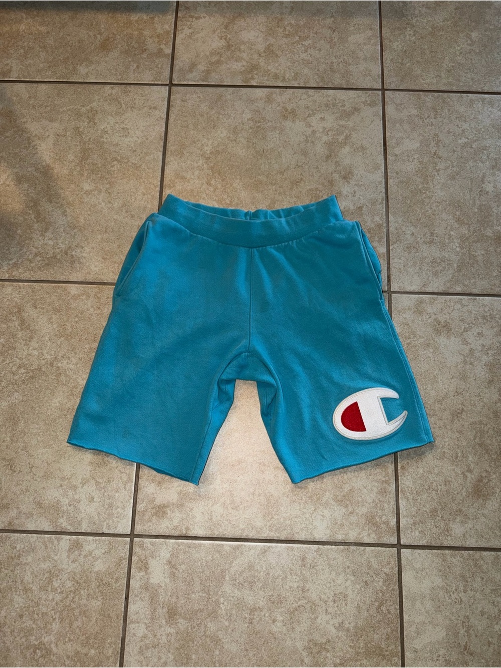Pacsun Champion Vintage Cotton Light Blue White Red Reverse Weave Shorts